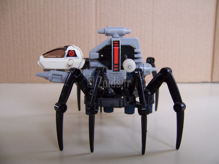 SpiderJap_07_900.JPG