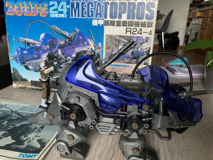Megatopros 8.jpg