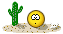 desert desert