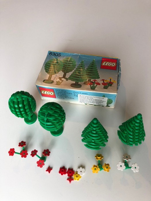 6305 3.jpg