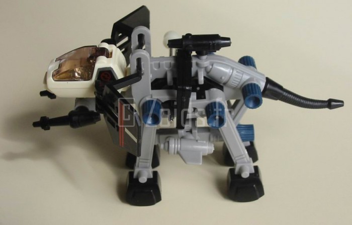 Proto_Jap81_09.JPG