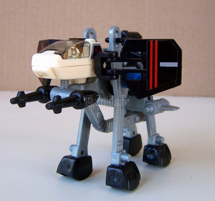 Starzeta_II_13.JPG