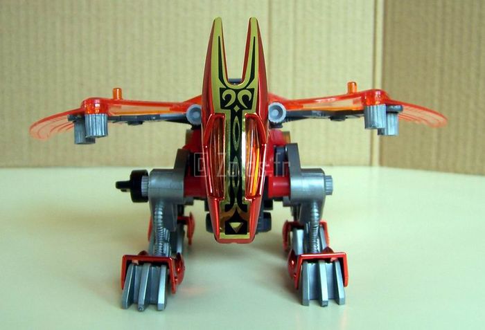 RedWing_09.JPG