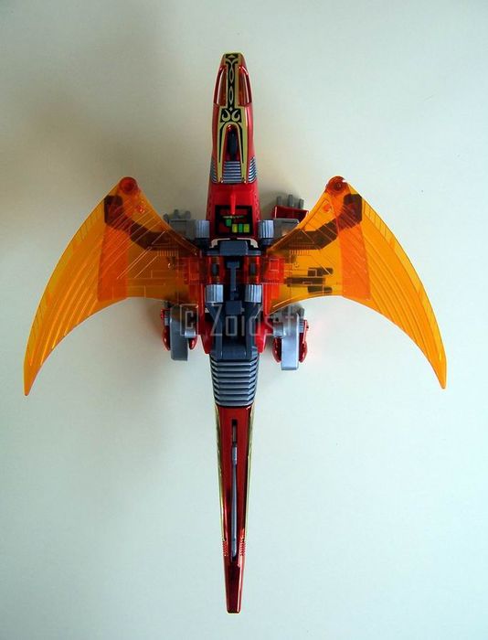 RedWing_10.JPG