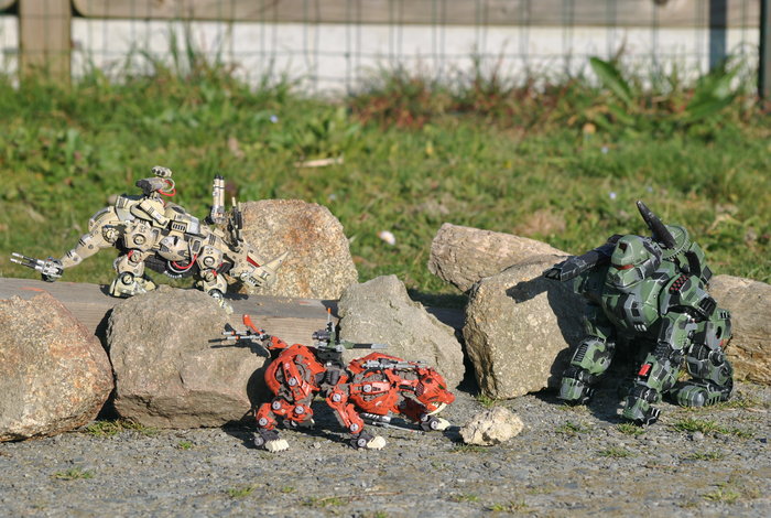 09.JPG