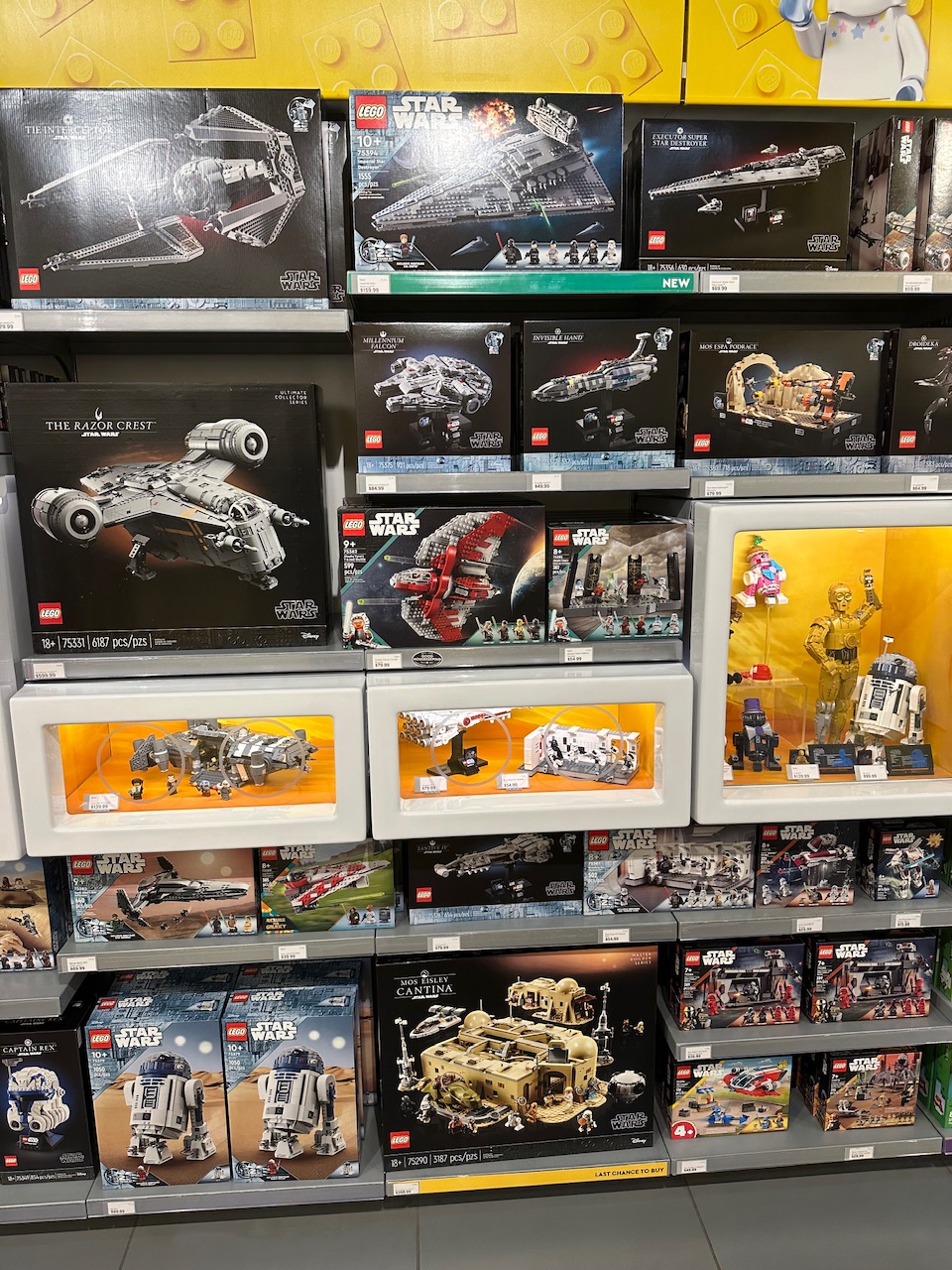 IMG_0009.jpeg