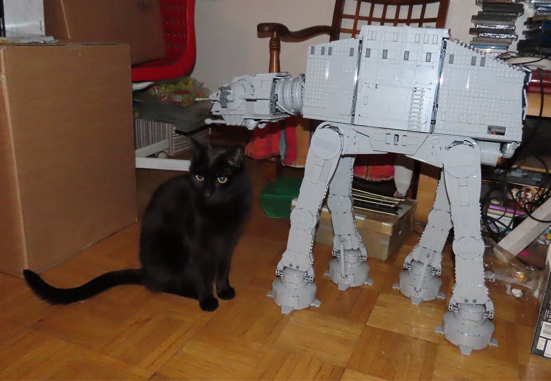 75313-25.jpg