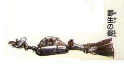 zallmaqua02.jpg